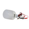 Bóng đèn LED BULB DC 12W - LED TR70N1 12-24VDC/12W