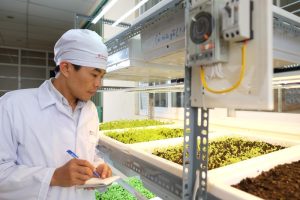 Đánh giá chung về sản phẩm của nhà Rạng Đông