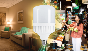 Lắp đèn Led Bulb 30W cho không gian nhà ở, văn phòng, nhà xưởng