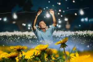 Lợi ích khi sử dụng đèn Led Rạng Đông trong trồng hoa cúc