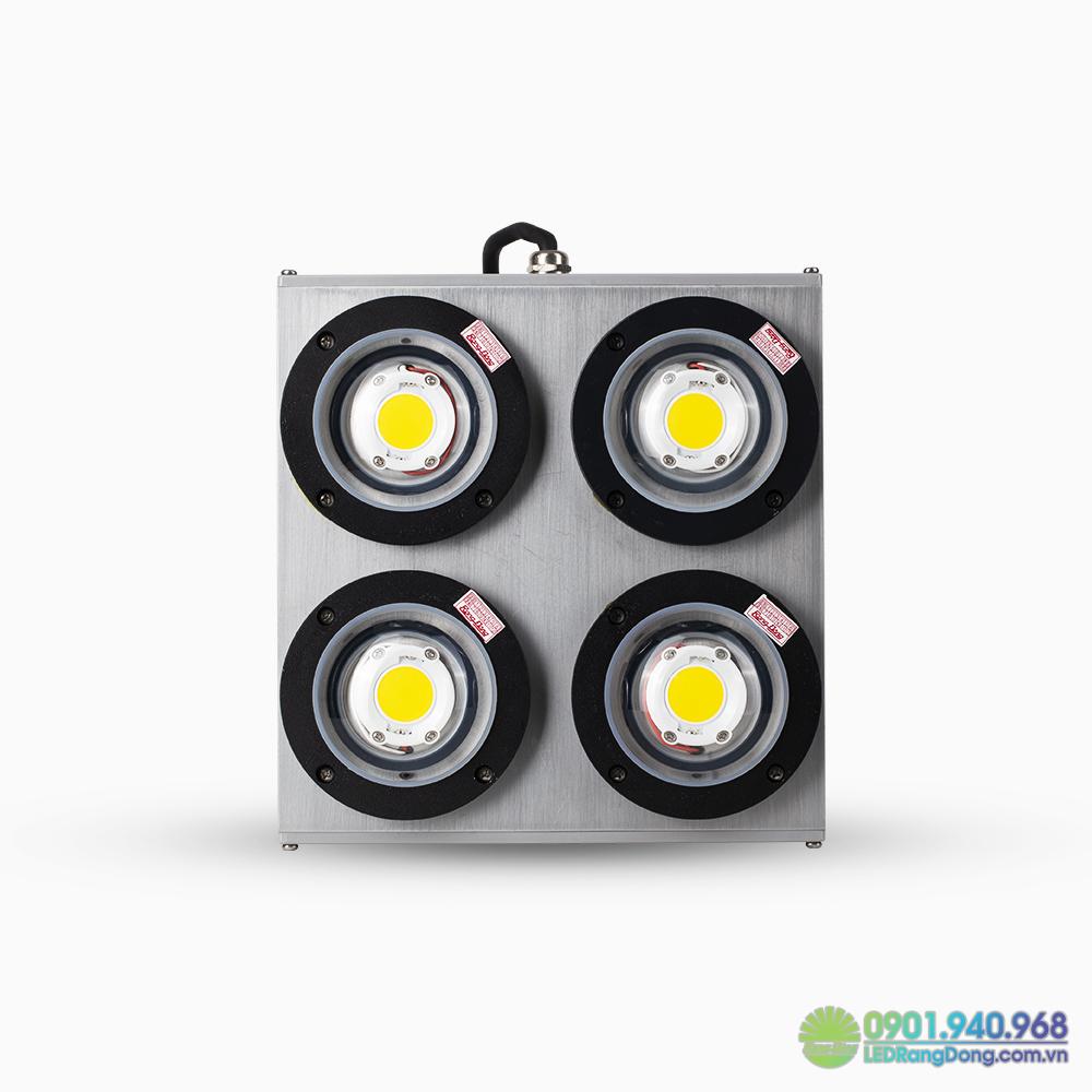 Có nên đầu tư đèn đánh cá Rạng Đông?