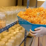 Lưu ý khi lắp đặt đèn LED nuôi đông trùng hạ thảo